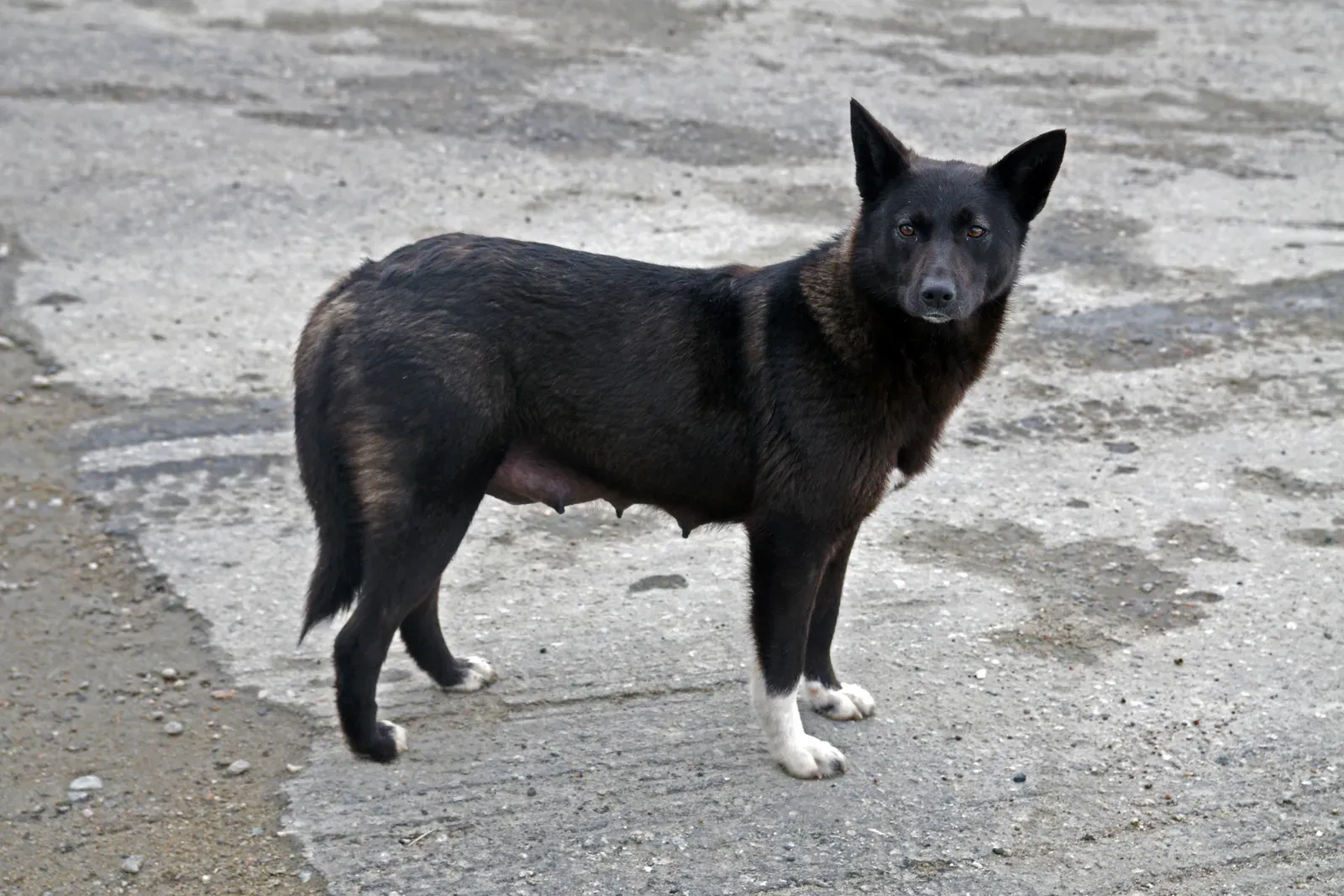 What Those Looks Really Mean in Different Situations (Image Credits: Wikimedia)