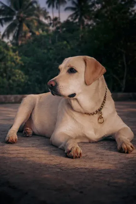 16. Labrador Retriever: The Gold Standard for a Reason (Image Credits: Pexels)