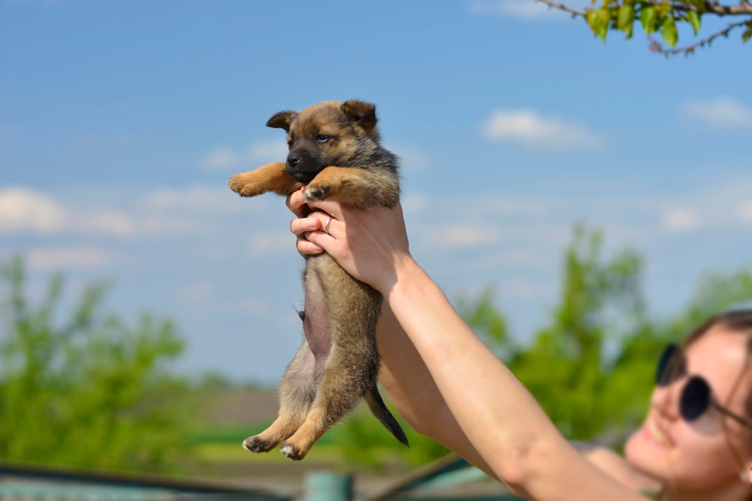 Physical Contact as a Security Blanket (Image Credits: Unsplash)