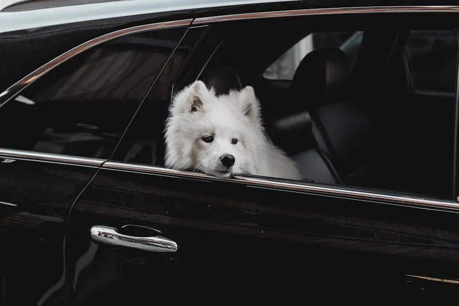 8. Car Rides: Motion, Smells, and Bad Memories (Image Credits: Pexels)