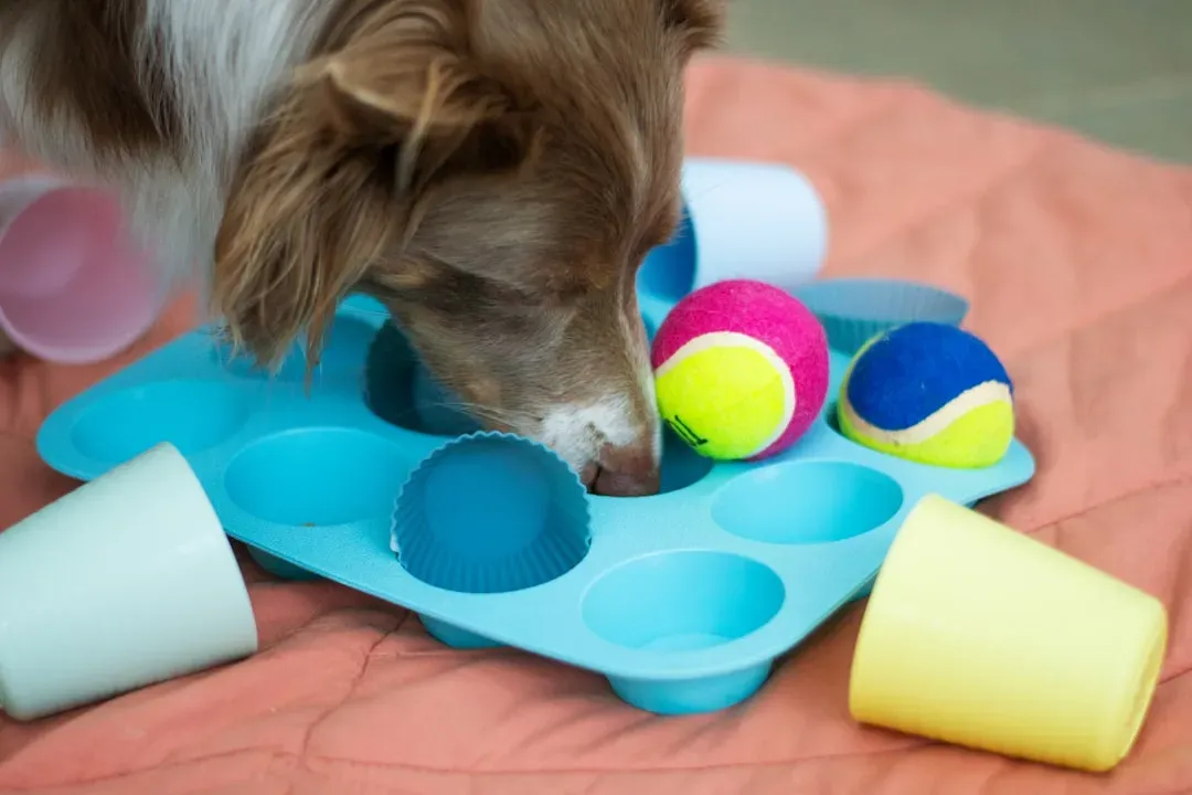 1. Puzzle Feeders and Treat-Dispensing Toys: Make Mealtime an Event (Image Credits: Unsplash)