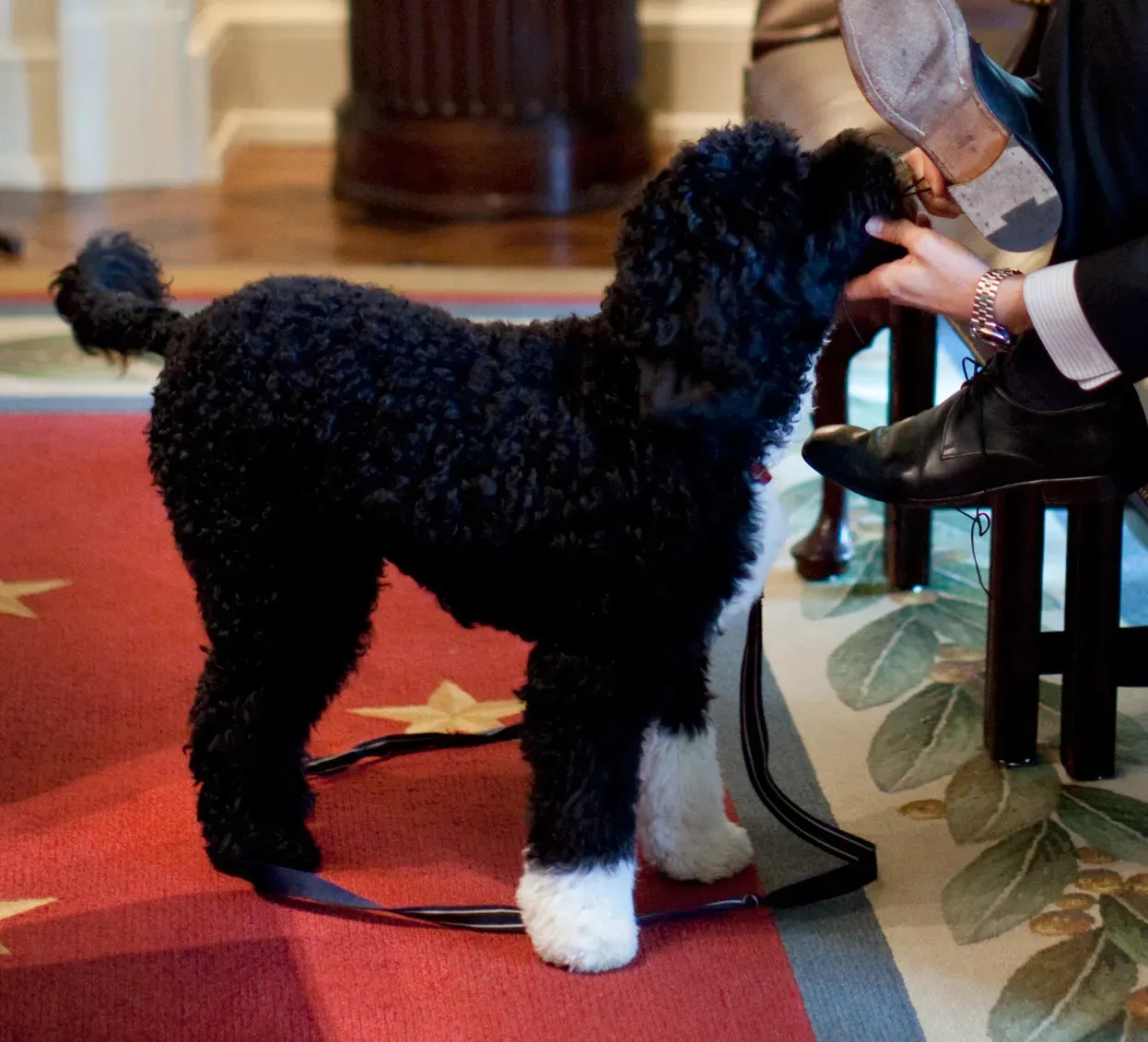 #7 - "Is This a Play Zone, a Rest Zone, or a Trouble Zone?" (By White House photo by Pete Souza, Public domain)