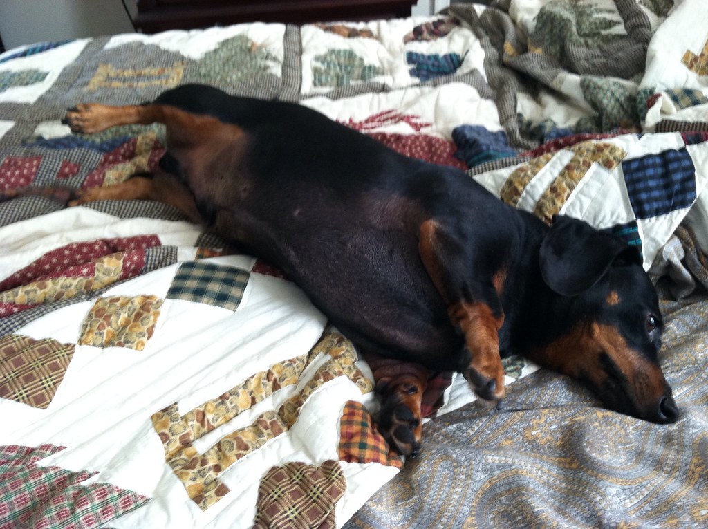 The Magic of Belly Exposure (Image Credits: Flickr)