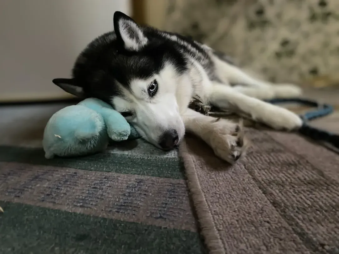 Obsessive Players and What They're Really Telling You (Image Credits: Unsplash)