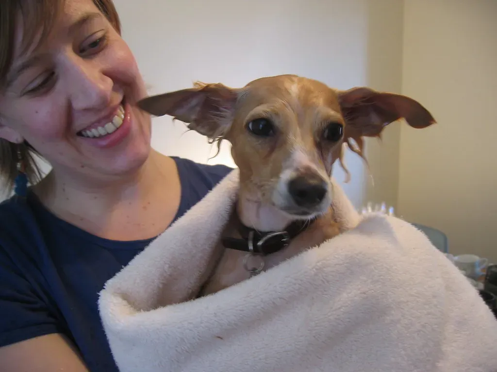 Nail the Drying Process and Celebrate Success (Image Credits: Flickr)