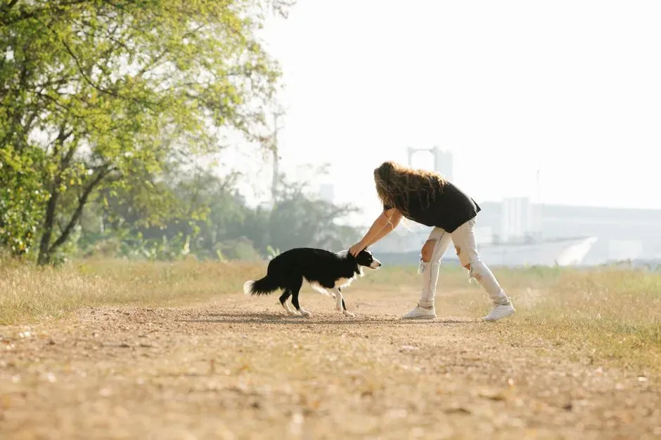#12 - They "Adopt" You as a Resource Guard - In a Gentle Way (Image Credits: Pexels)