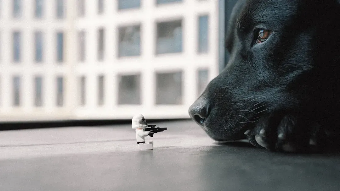 #7 - Small Toys, Building Bricks, and Puzzle Pieces (Image Credits: Unsplash)