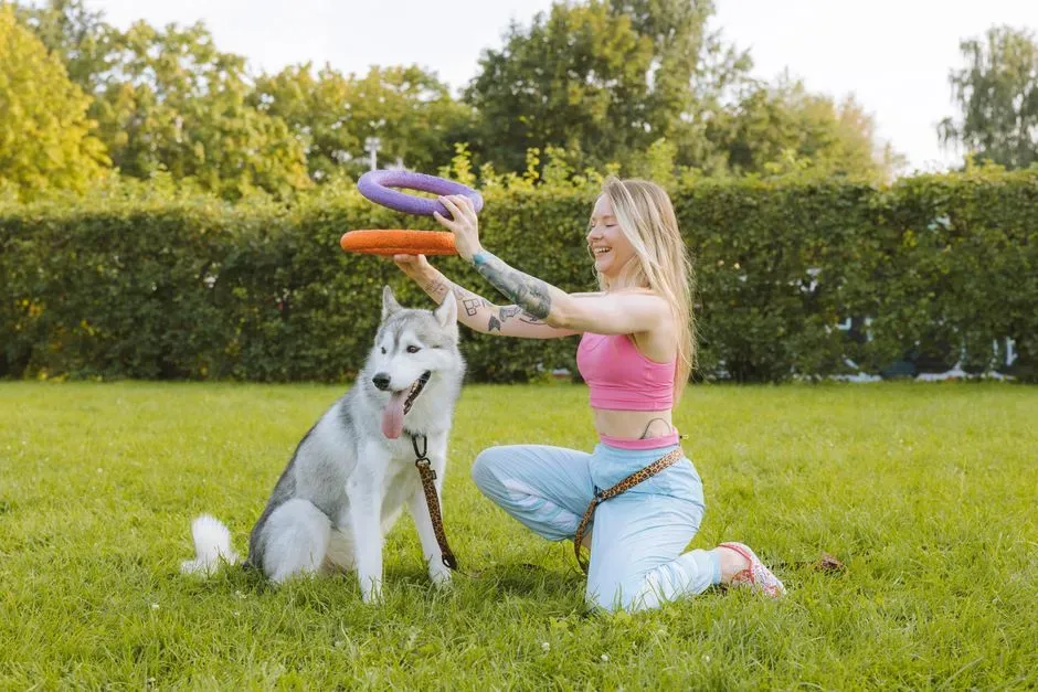 Socialization and Behavioral Training (Image Credits: Pexels)