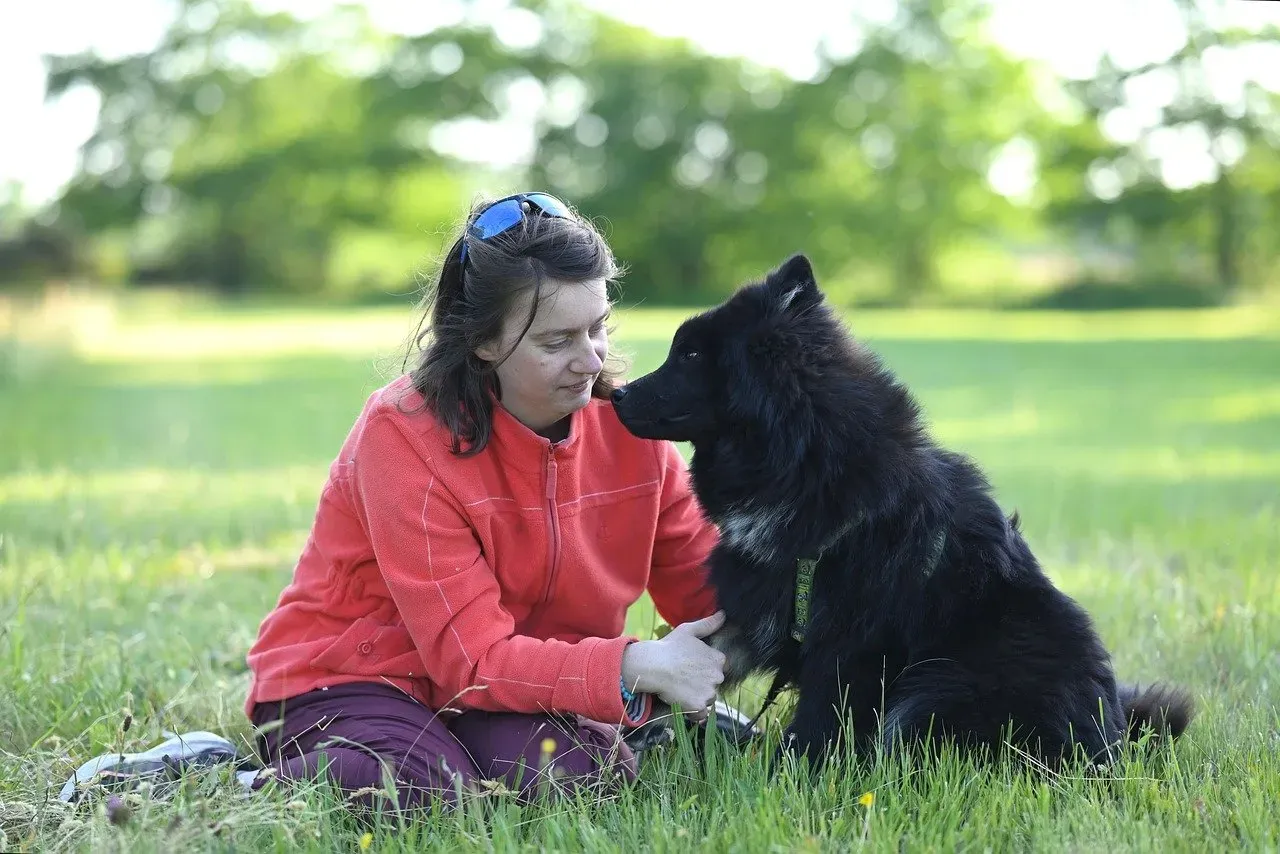 Practical Ways to Strengthen Your Emotional Connection (Image Credits: Pixabay)