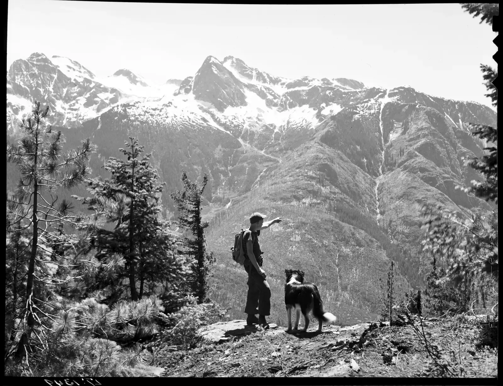 Sagittarius: The Adventurous Companion (Seattle Municipal Archives, CC BY 2.0)