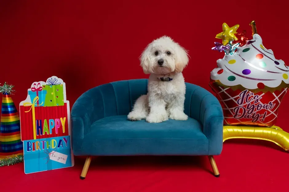 Capture Timeless Memories in a Photo Shoot (Image Credits: Pexels)