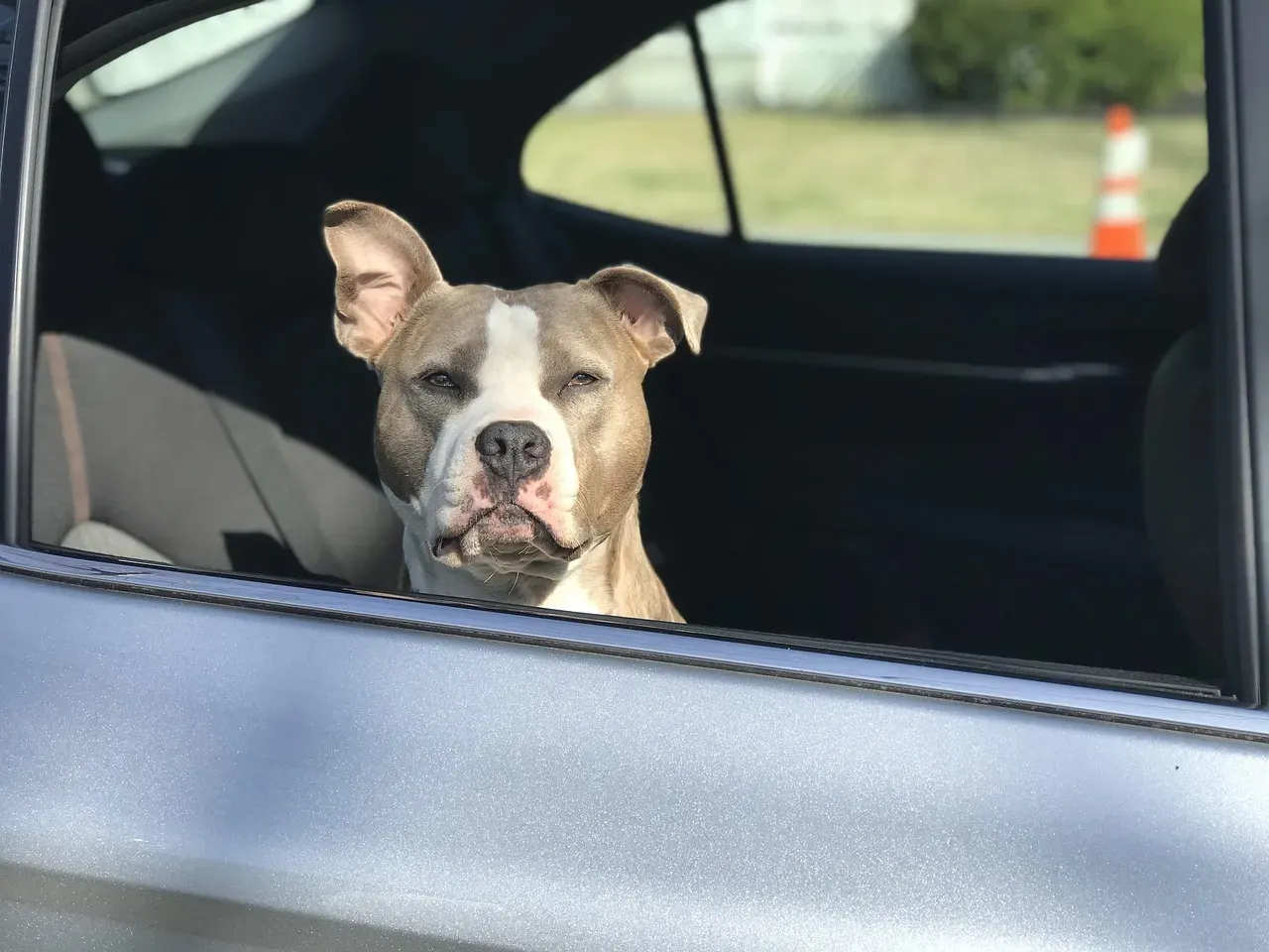 #13 - The Car Ride That Felt Wrong From The First Turn (Image Credits: Pixabay)