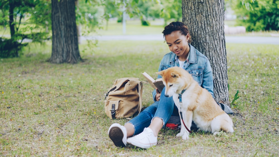 Conclusion (Image Credits: Unsplash)