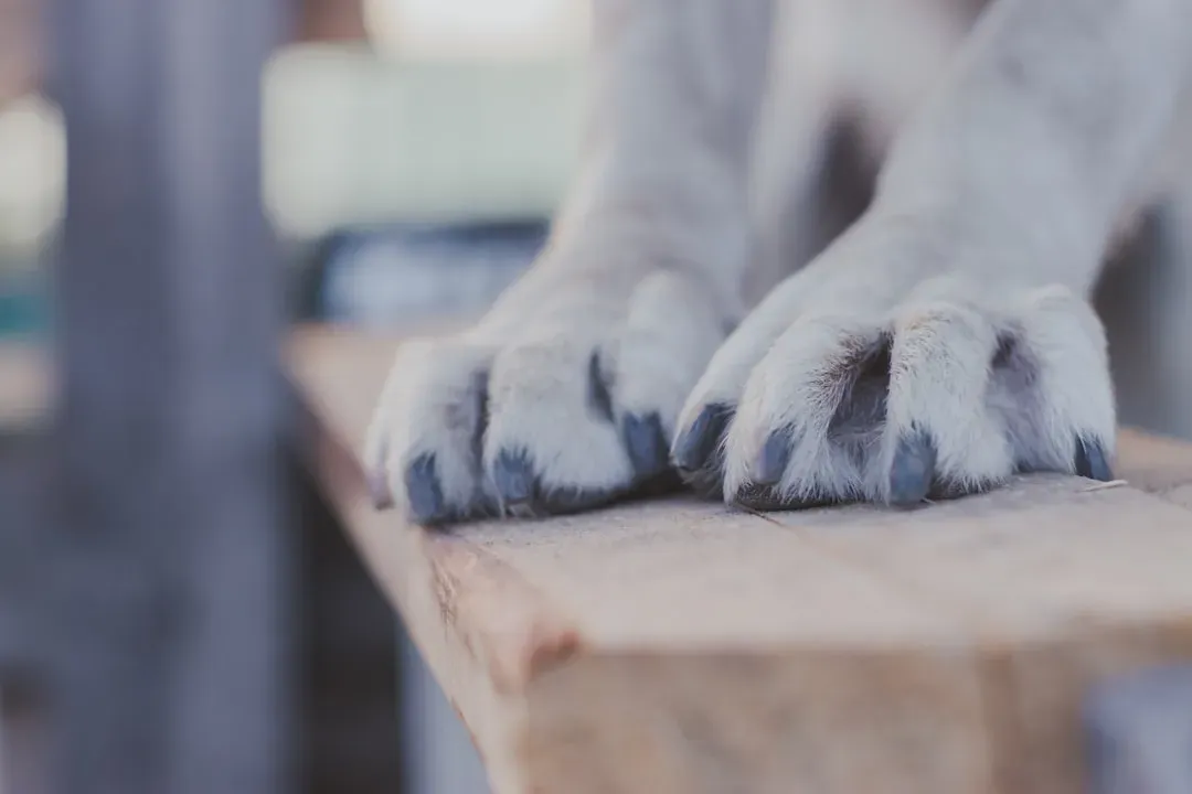 #8 - Handling Tolerance That Shows How Often You Actually Touch Them (Image Credits: Unsplash)