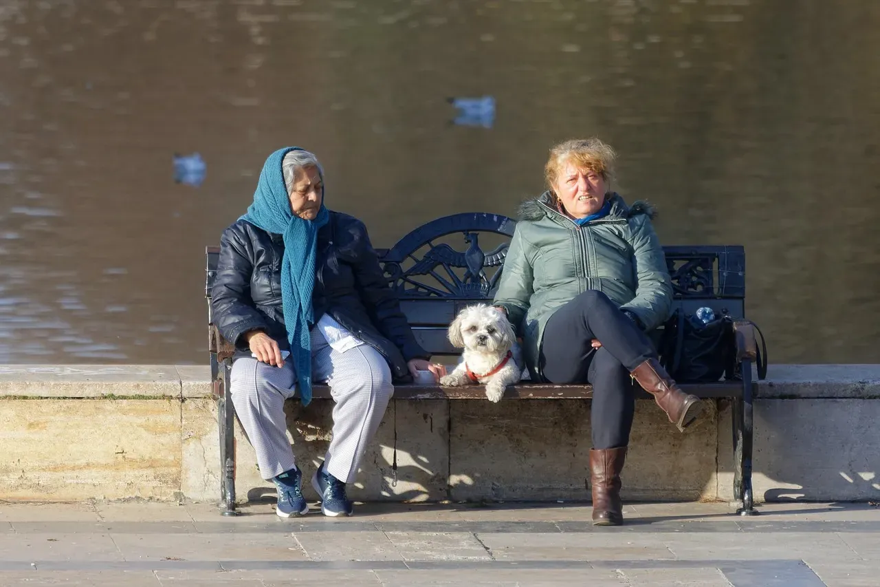 Conclusion: Age Is a Gift, For You and Your Dog (Image Credits: Pixabay)