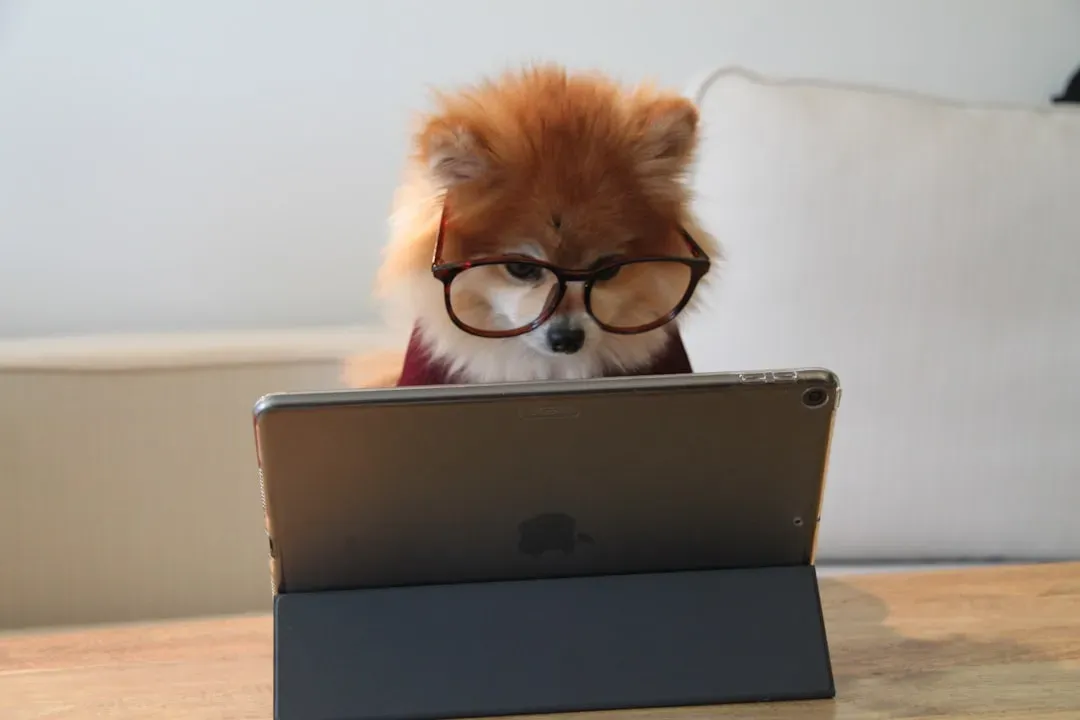 Dogs Are Natural Social Scientists In Your Living Room (Image Credits: Unsplash)