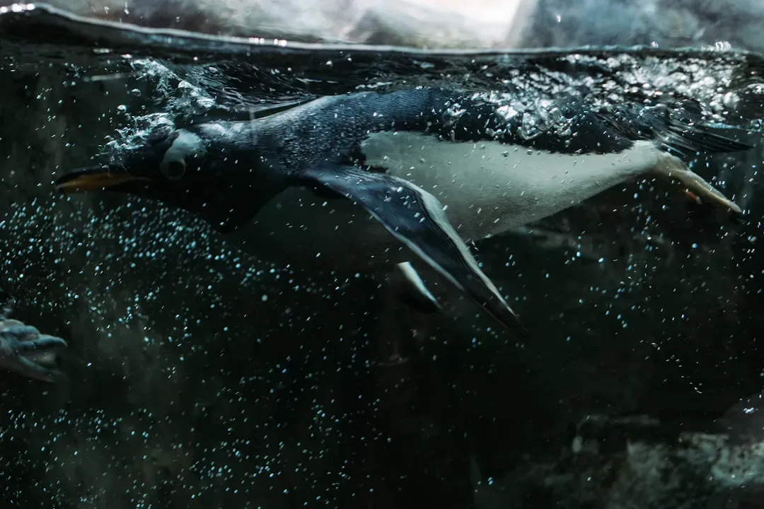 Mass Drownings Devastate Colonies (Image Credits: Unsplash)