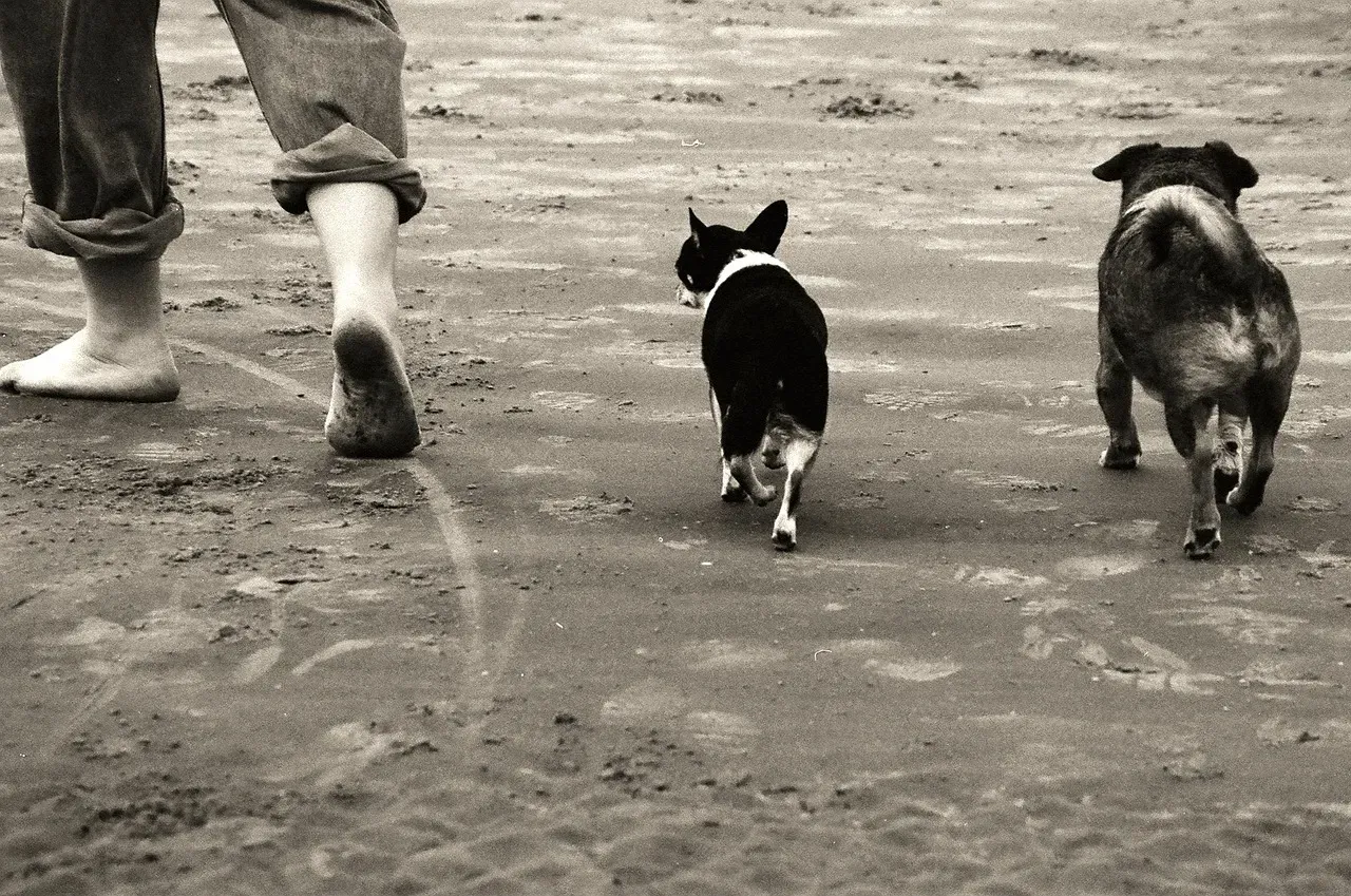#2 - The Sound of Your First Footstep (Image Credits: Pixabay)