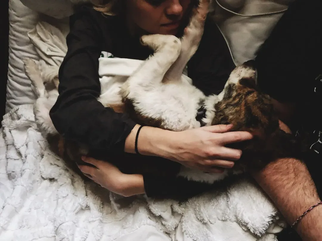 Giving Them Regular Physical Affection (Image Credits: Unsplash)