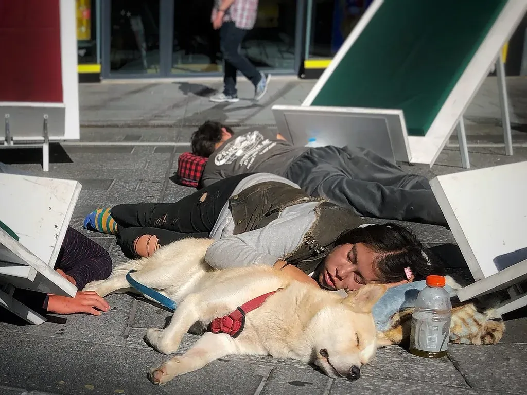 Pack Behavior and the Need to Stay Close (Image Credits: Flickr)