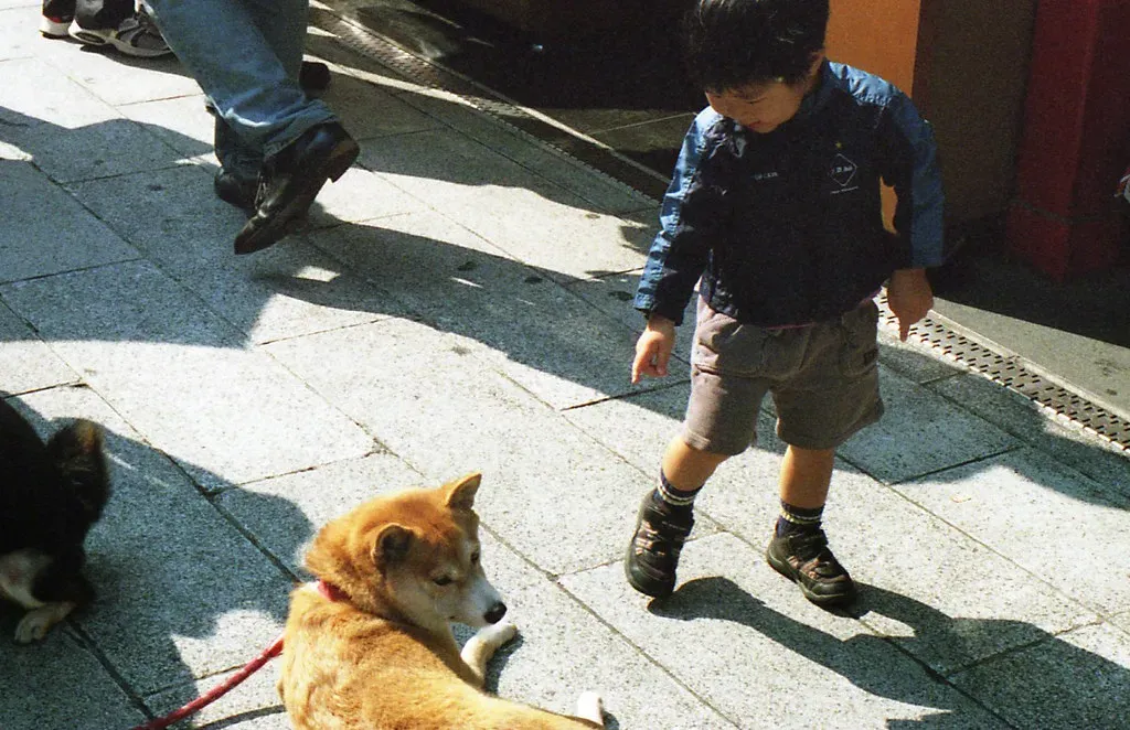 Conclusion: A New Way of Seeing Your Dog (Image Credits: Flickr)