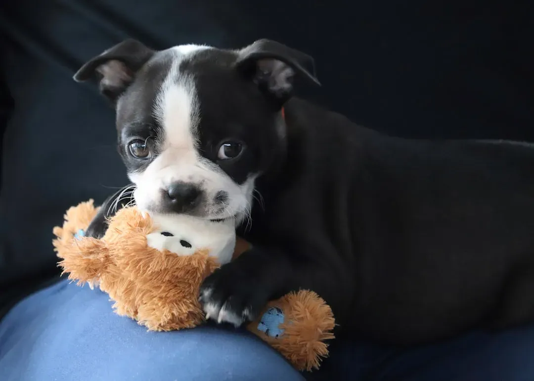 Sign 9: Disinterest in Toys and Play They Once Loved (Image Credits: Unsplash)