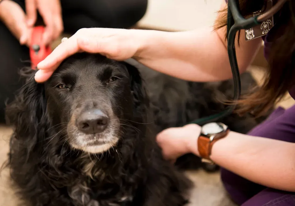 Conclusion (Image Credits: Flickr)