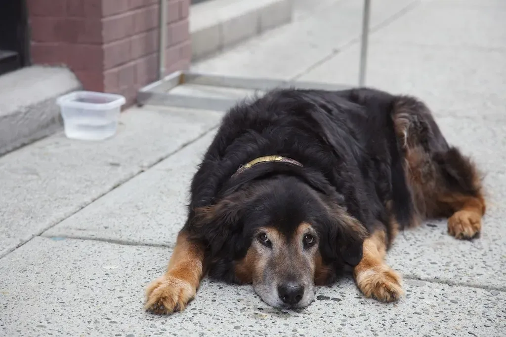 The Emotional Reality: It's Not Just Missing You (Hub☺, Flickr, CC BY-SA 2.0)