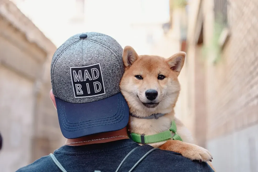 Finding Your Perfect Match (Image Credits: Unsplash)