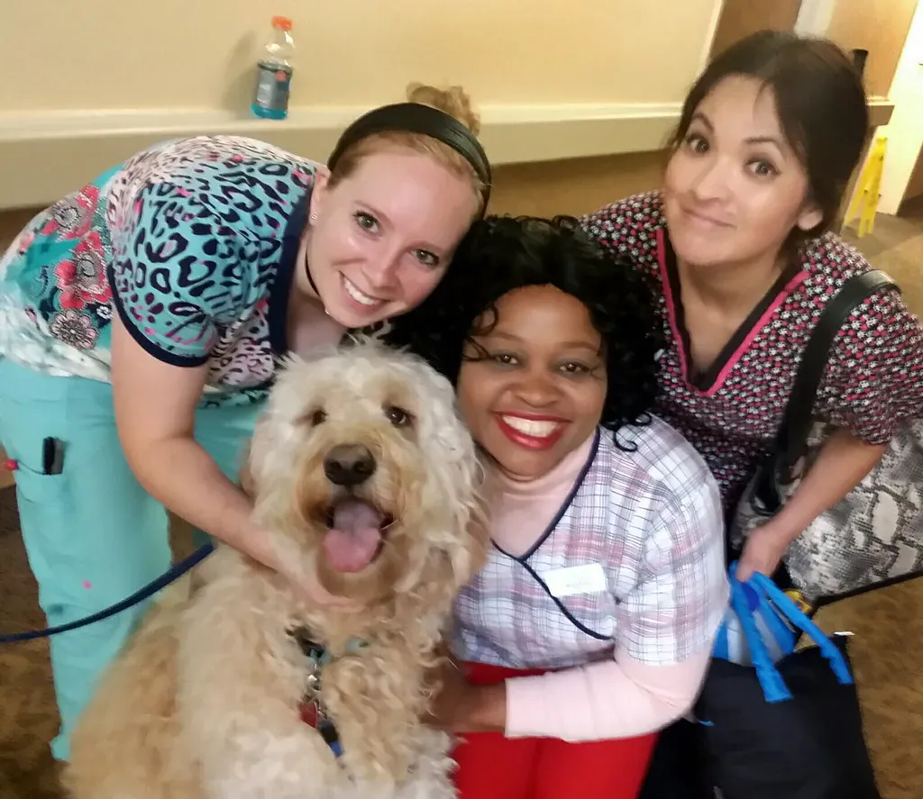 16. Be Their Secure Base When the World Gets Scary (Old White Truck, Flickr, CC BY-SA 2.0)