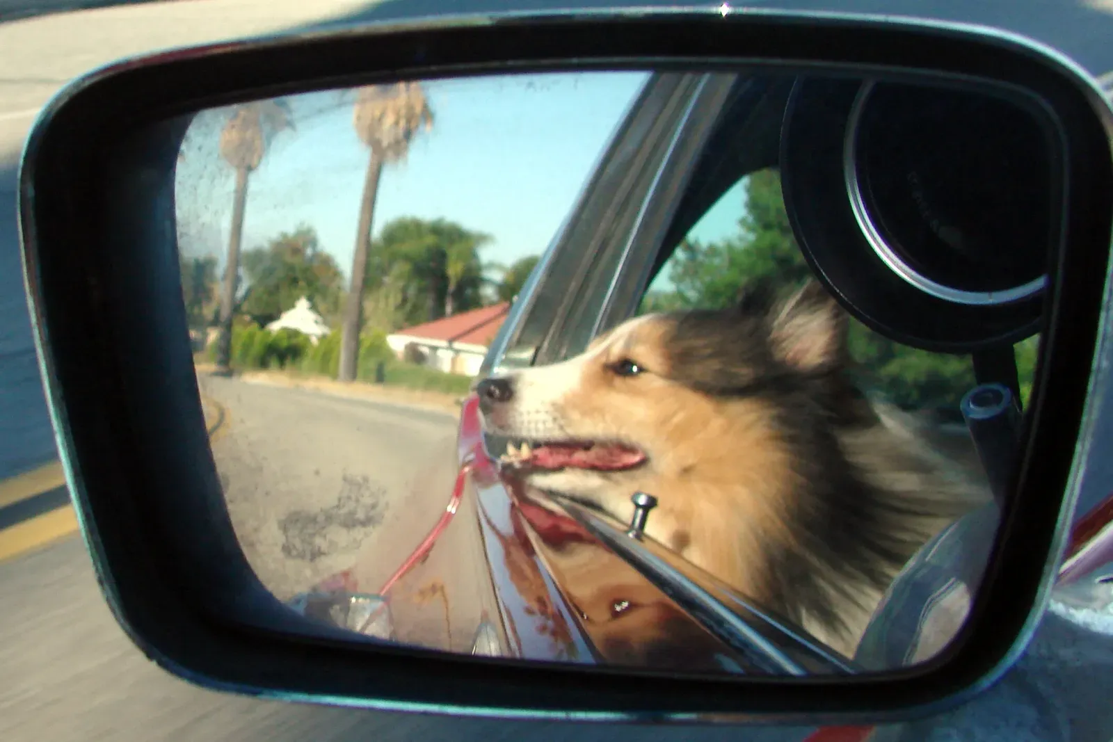 3 - The Random Car Ride That Became Legend (By inkknife_2000 (7.5 million views +), CC BY-SA 2.0)