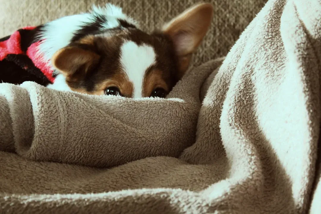 The Nose Knows More Than You Think (Image Credits: Unsplash)