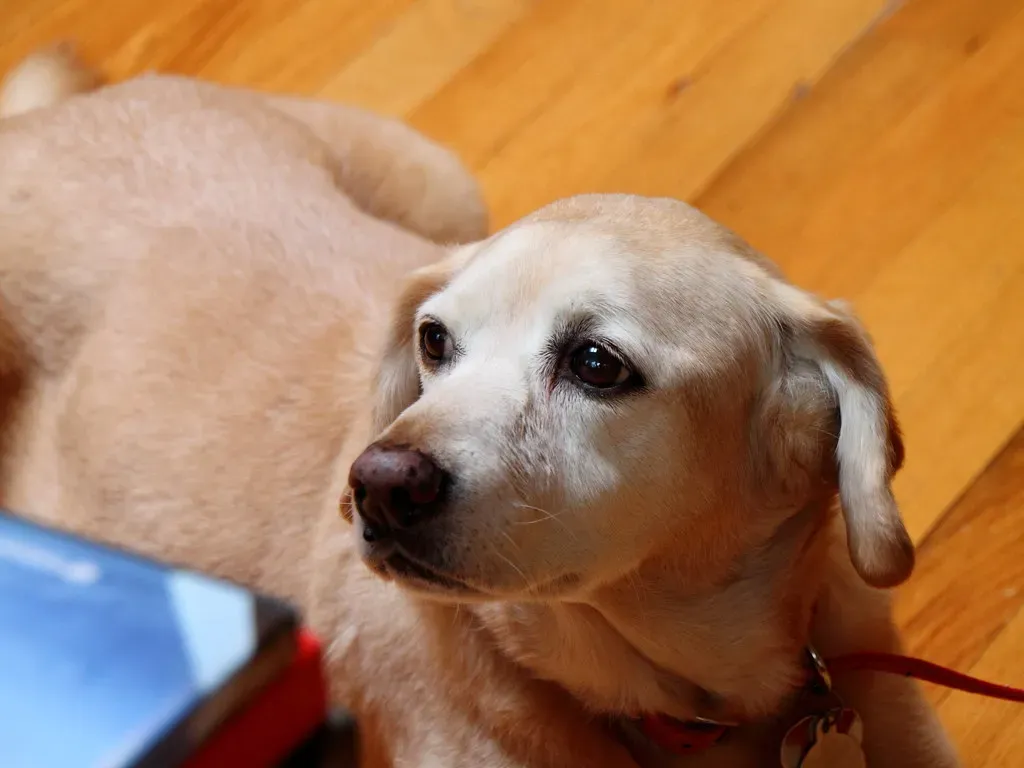 Your Body Language Better Than You Read Theirs (Image Credits: Flickr)