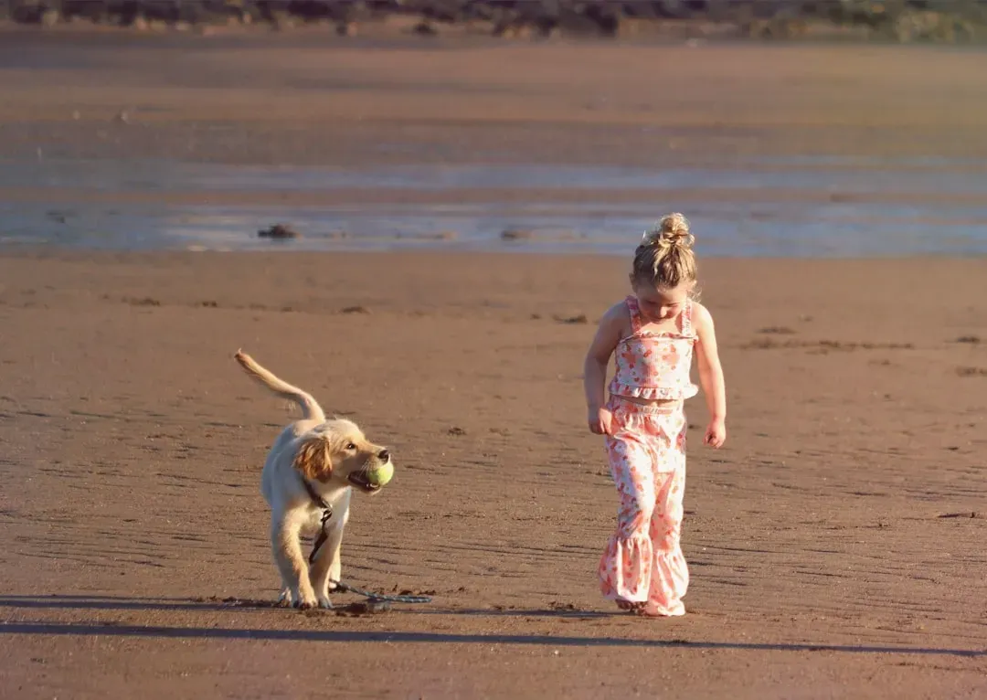 No Breed Comes with a Danger Label (Image Credits: Unsplash)