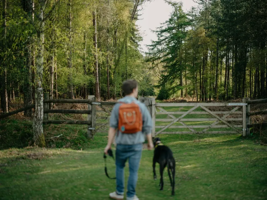 Make the Daily Walk a Mindful Experience (Image Credits: Unsplash)