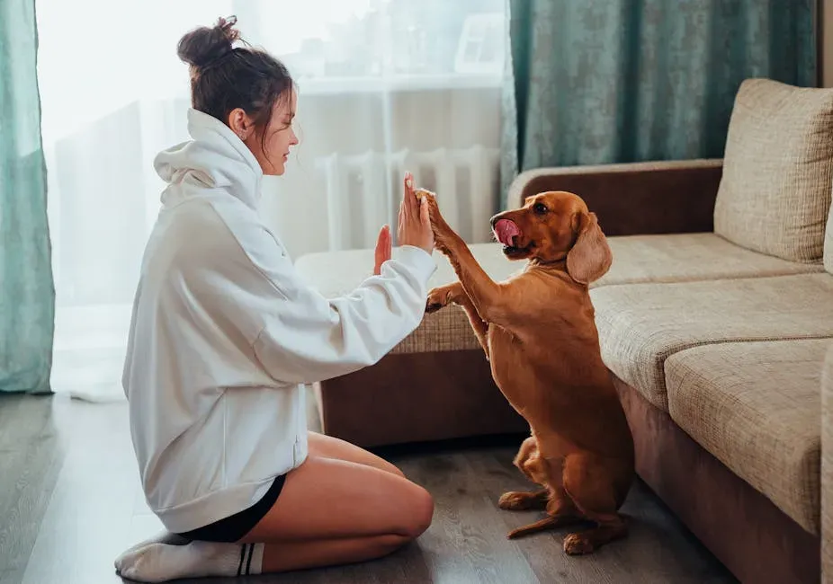 Training a Pisces Dog: Gentle Is the Only Way (Image Credits: Pexels)
