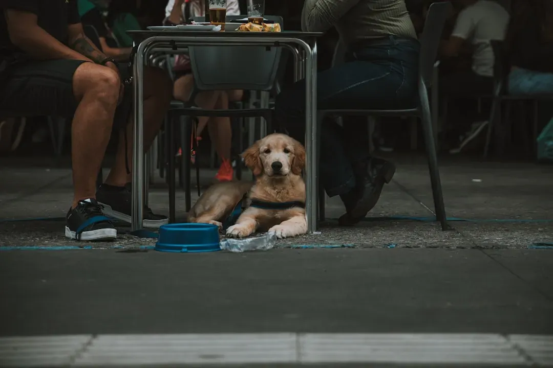 #10 - The "Dinner Alarm" Goes Off Within Minutes Every Single Day (Image Credits: Unsplash)