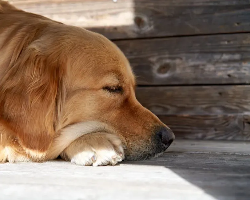 #4: The Side Sleeper - Calm, Content, and Fully at Ease (Image Credits: Pexels)