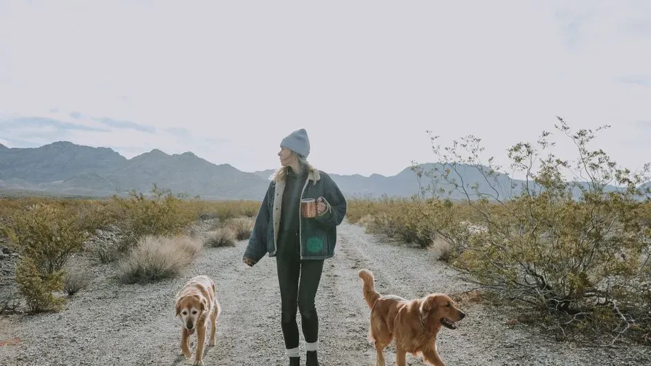 Capricorn: The Responsible Rock Who Secretly Softens for Their Dog (Image Credits: Pexels)