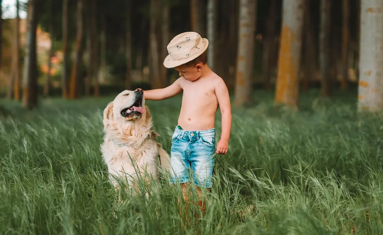 #9 - They Struggle to Match the Child's Pace and Unpredictability (Image Credits: Pixabay)