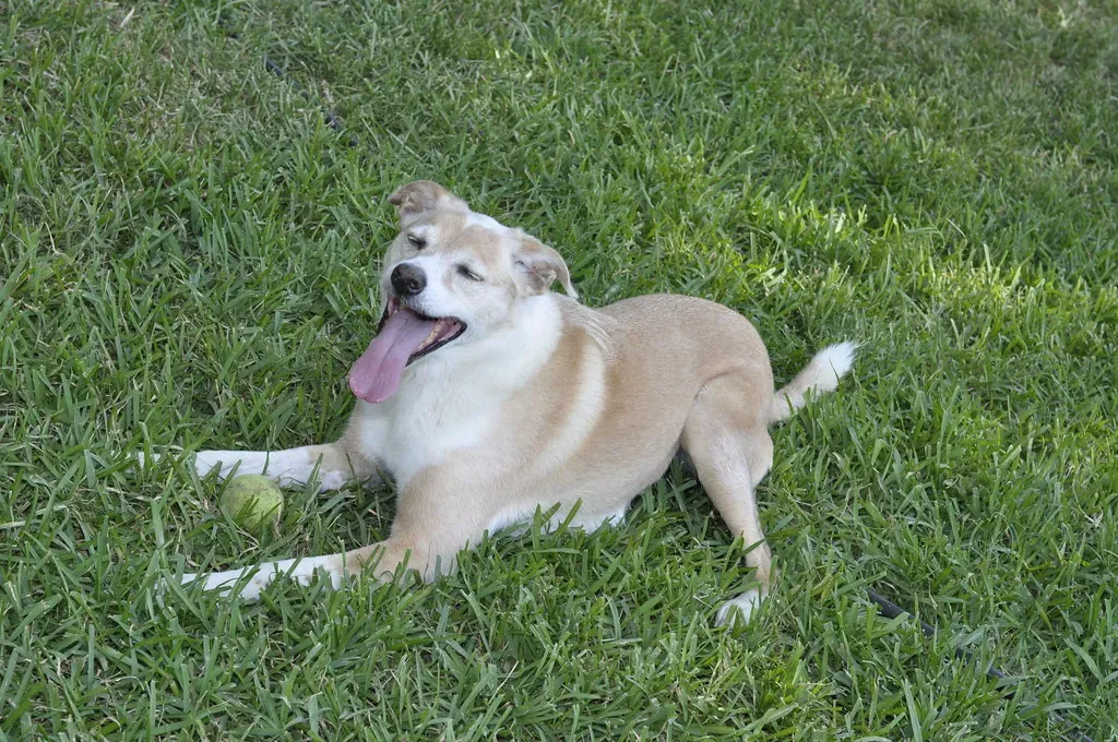 How to Encourage Healthy Independence Without Breaking the Bond (Image Credits: Flickr)