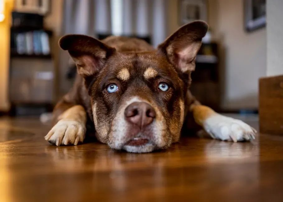 11. Boredom: A Mind With Nowhere to Go (Image Credits: Pexels)