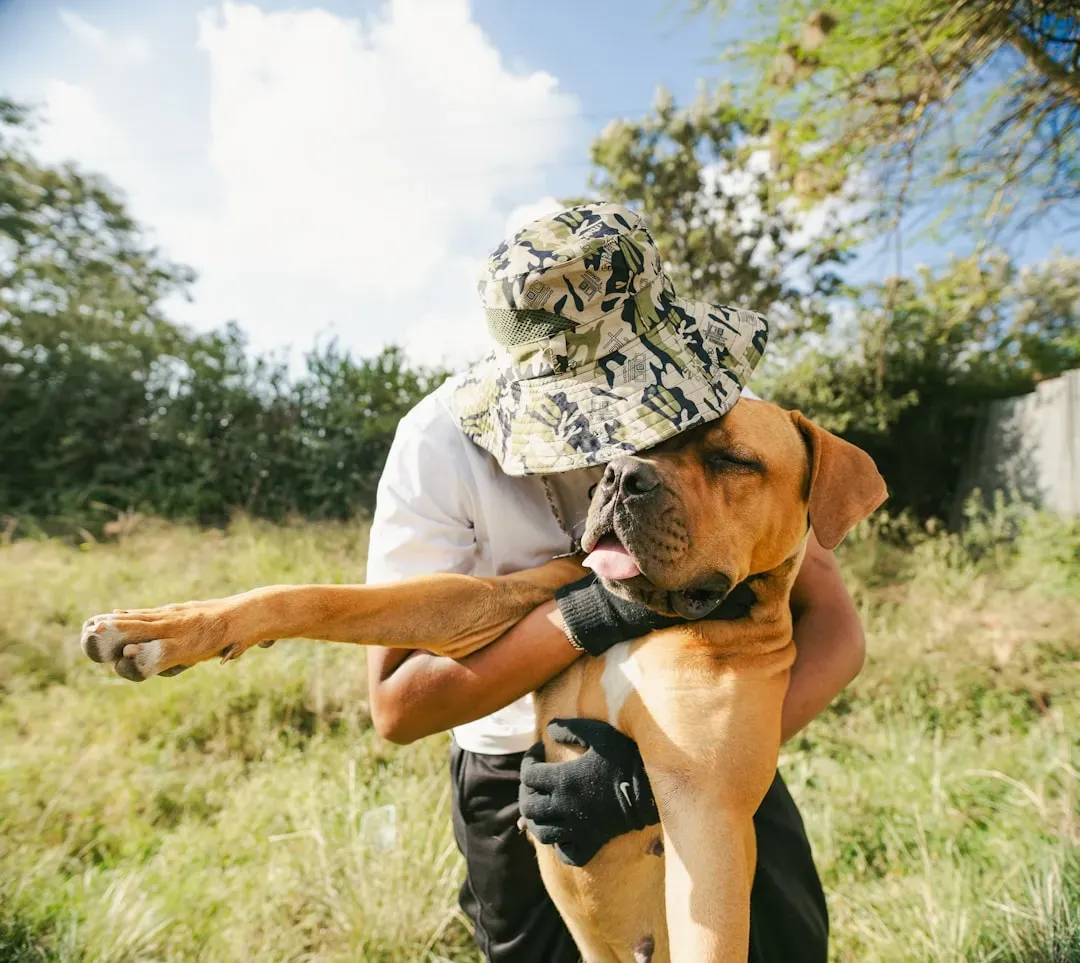 The Science Behind the Bond: Why Rescued Dogs Love Differently (Image Credits: Unsplash)