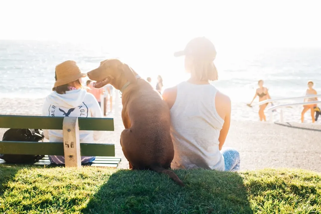 Taurus: The Stable Provider Who Builds Life Around Creature Comforts (Image Credits: Unsplash)