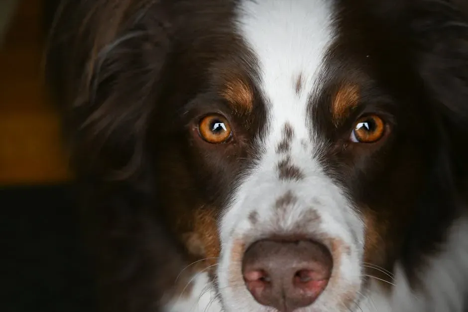 #4. The Gaze Itself Is an Act of Love Backed by Science (Image Credits: Pexels)