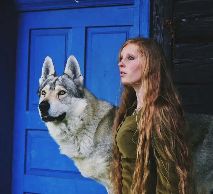 Conclusion: A Complex Tapestry of Domestication (Image Credits: Pexels)