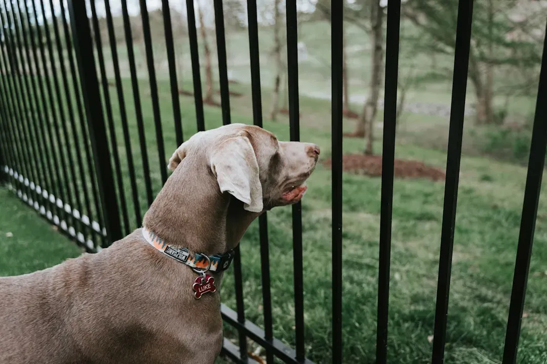 #5: Create Safe Zones, Block Off Danger Areas, and Do Regular Reassessments (Image Credits: Unsplash)