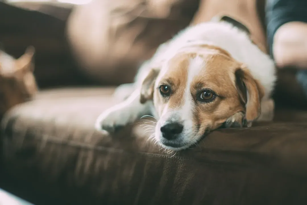 #12 - Your Finances and Stress Load Can Spike (Image Credits: Unsplash)