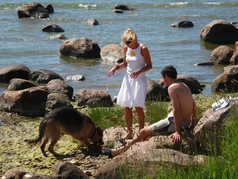 Aquarius: The Unconventional Advocate Who Puts Animal Welfare First (fergie_lancealot, Flickr, CC BY 2.0)