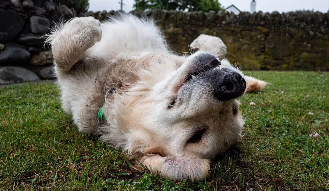 #8. Playful Moments That Made Them Feel Young (Image Credits: Unsplash)